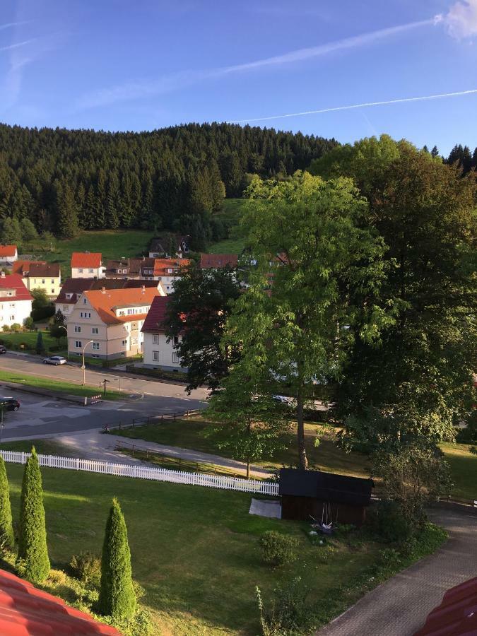 Villa Pusteblume Bad Grund Exterior foto