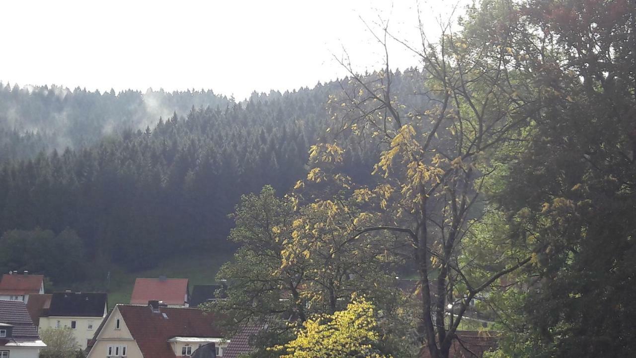 Villa Pusteblume Bad Grund Exterior foto