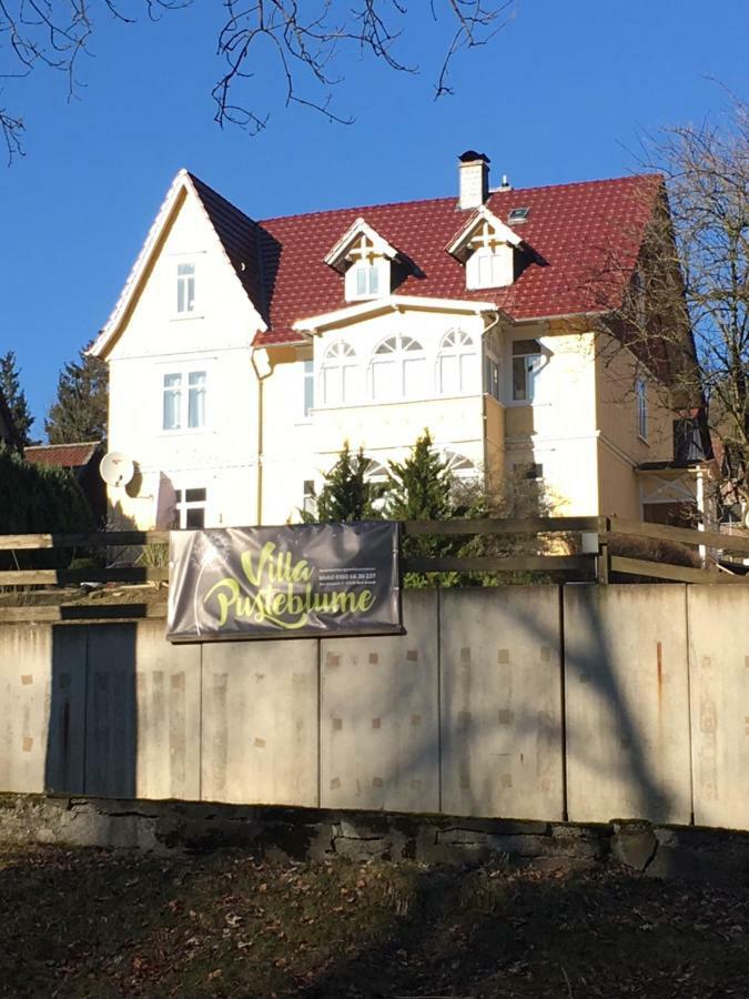 Villa Pusteblume Bad Grund Exterior foto